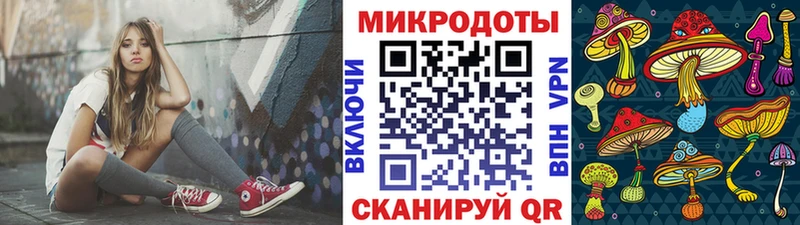 Галлюциногенные грибы Cubensis  KRAKEN сайт  Ставрополь  магазин продажи  